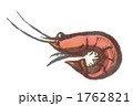 えびイラスト えびイラスト 1762821
