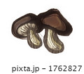 しいたけのイラスト しいたけのイラスト 1762827