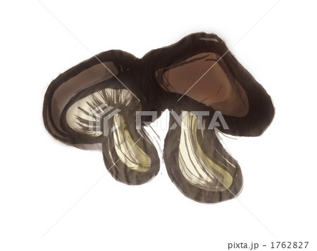 しいたけのイラスト 1762827
