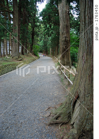 平泉散歩・中尊寺 表参道月見坂 平泉散歩・中尊寺 表参道月見坂 1763450