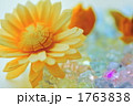 ひまわり 1763838