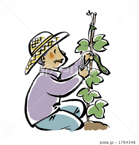 高齢者の趣味ーガーデニングのイラスト素材