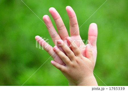 手と手 手と手 1765339