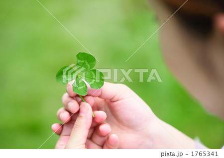 四つ葉のクローバー 四つ葉のクローバー 1765341