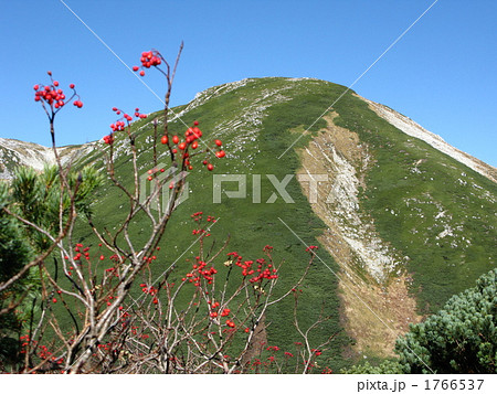 ナナカマドが映える双六岳 1766537