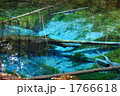神の子池 1766618