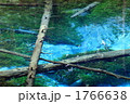 神の子池 1766638