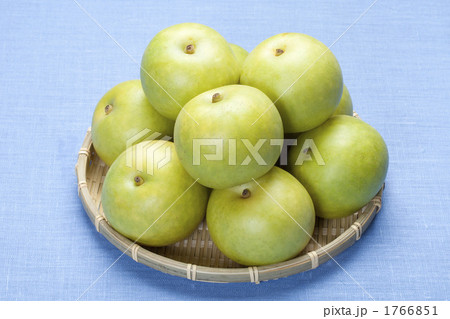 二十世紀梨 1766851