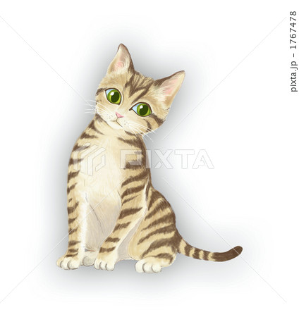 猫001 のイラスト素材