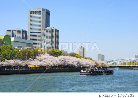 大阪大川の花見遊覧 1767505