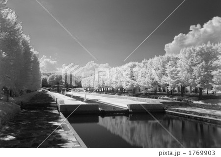 昭和記念公園　カナール 1769903