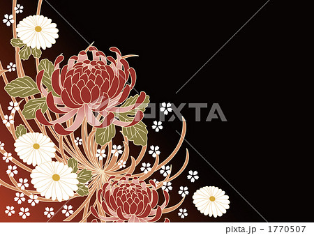 菊の和柄模様のイラスト素材