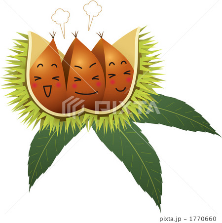 いがぐり　幸せギュウギュウ詰め　葉っぱ付き 1770660