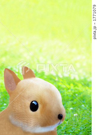 ＣＧ うさぎ　（実写素材からのレタッチ加工）ぬいぐるみ　草原タテ位置 1771079