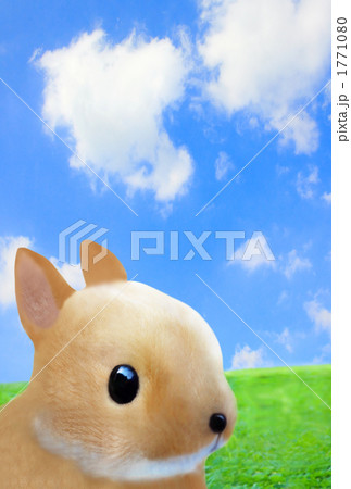 ＣＧ うさぎ　（実写素材からのレタッチ加工）ぬいぐるみ　青空タテ位置 1771080