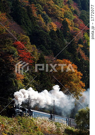 晩秋の蒸気機関車 1772077