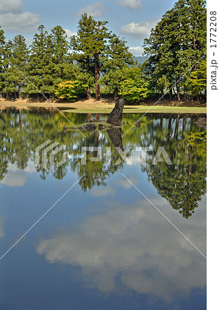 平泉散歩・毛越寺 大泉が池 平泉散歩・毛越寺 大泉が池 1772208