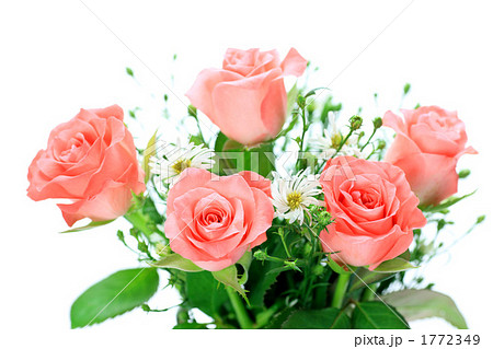 薔薇 1772349