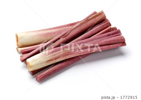 赤ずいき 1772915