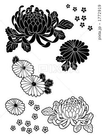 モノクロの和柄模様 菊 のイラスト素材