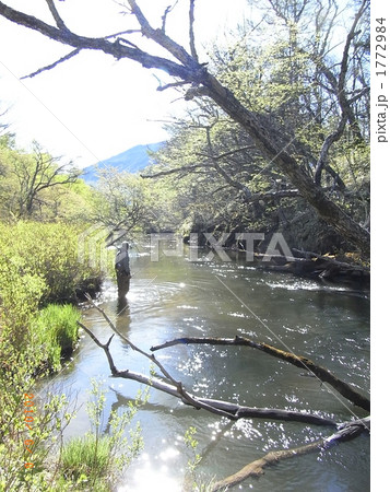 フライフィッシャー 1772984