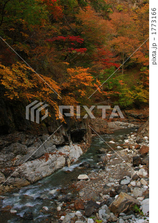 中津川渓谷紅葉 1773166