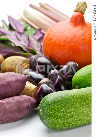 加賀野菜 加賀野菜 1773233
