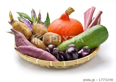 加賀野菜 1773240