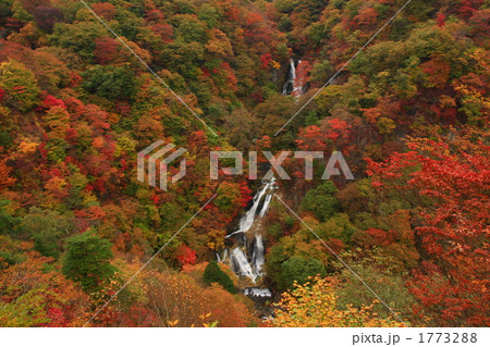 日光霧降の滝紅葉 1773288