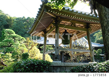 源頼朝の祈願所となった本蓮寺を訪れて 源頼朝の祈願所となった本蓮寺を訪れて 1773858