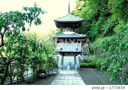 源頼朝の祈願所となった本蓮寺を訪れて 源頼朝の祈願所となった本蓮寺を訪れて 1773859