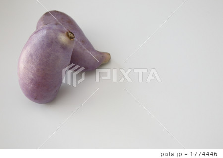 あけび あけび 1774446