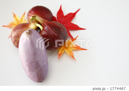 あけび　いちじく 1774467