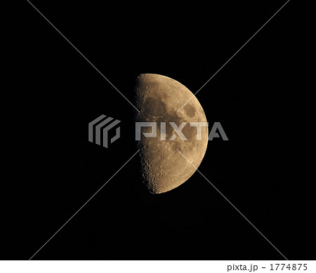 月齢8.757の 月 1774875