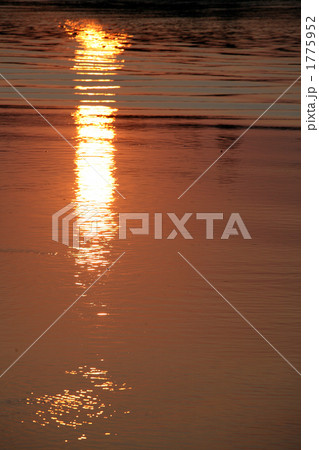 シュンドルボン国立公園の夕陽 1775952