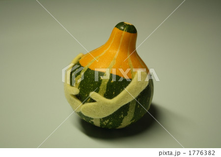 おもちゃかぼちゃ 1776382