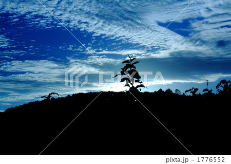秋空 1776552