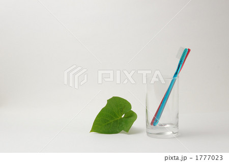 歯ブラシと植物 歯ブラシと植物 1777023