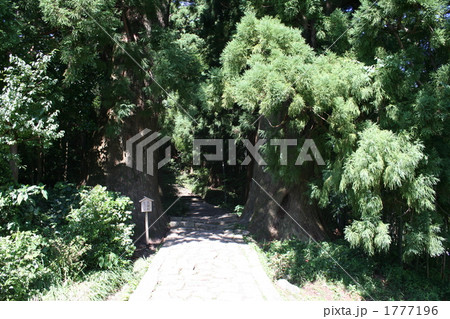 熊野古道 1777196