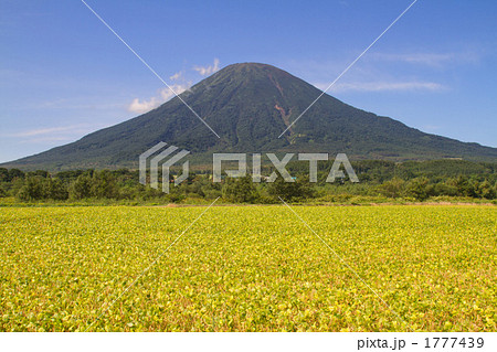 羊蹄山 1777439
