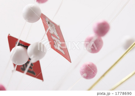 玉すだれ 1778690