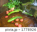 水基めぐり 1778926