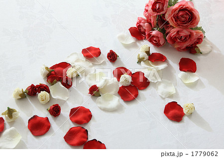 バラの花弁の写真素材