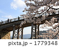 橋と桜 1779348