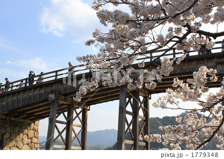 橋と桜 1779348