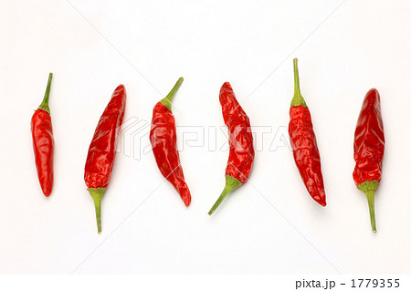 鷹の爪 鷹の爪 1779355