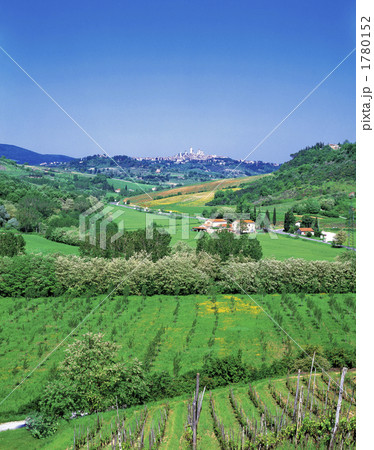 サンジミニャーノ遠景 サンジミニャーノ遠景 1780152