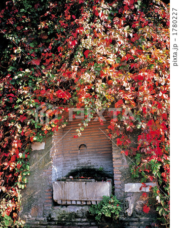 ローマ市内 ローマ市内 1780227