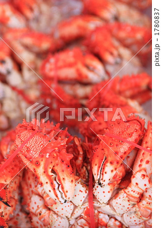 花咲ガニ 花咲ガニ 1780837