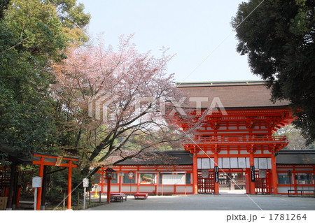 下鴨神社・桜の季節 1781264